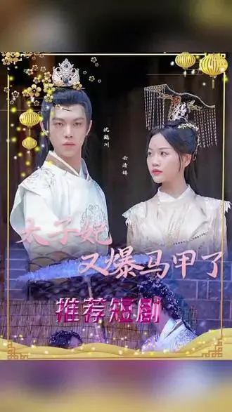 太子妃，你的马甲又掉了：爆笑古装喜剧，反套路宫斗风云