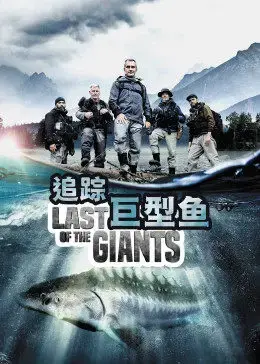 《追踪巨型鱼》影评：一场惊险刺激的探险之旅，揭秘深海巨兽的生存之谜！