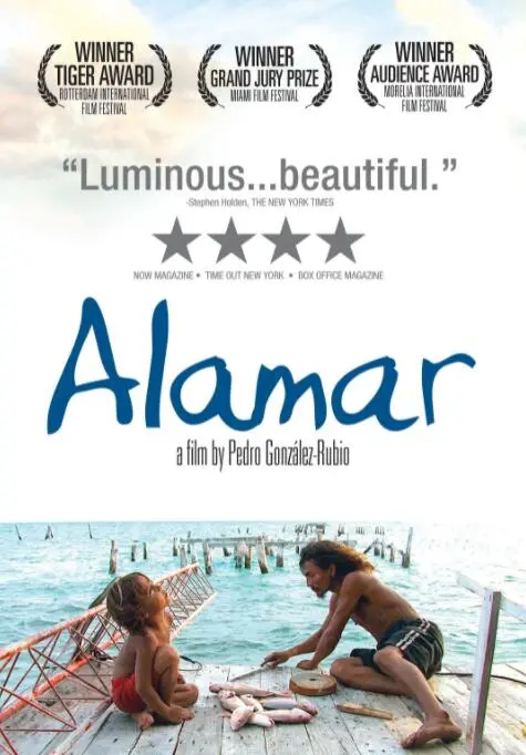 《拥抱大海》：治愈心灵的蓝色之旅，在海浪声中找寻自我